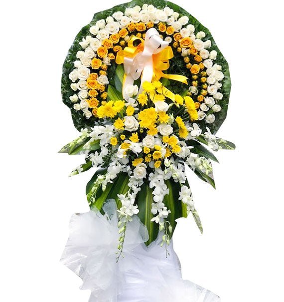 Mãi Nhớ - Hoa Sài Gòn