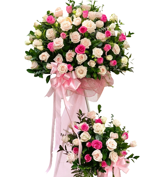 Mãi Phát Triển Nhé