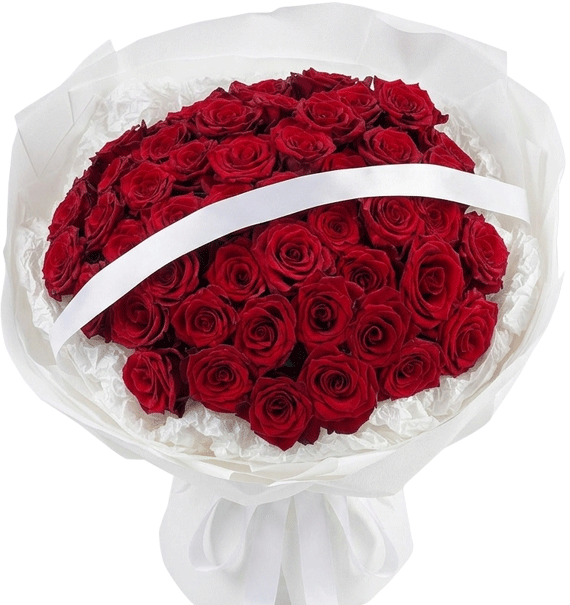 Maison Bloom