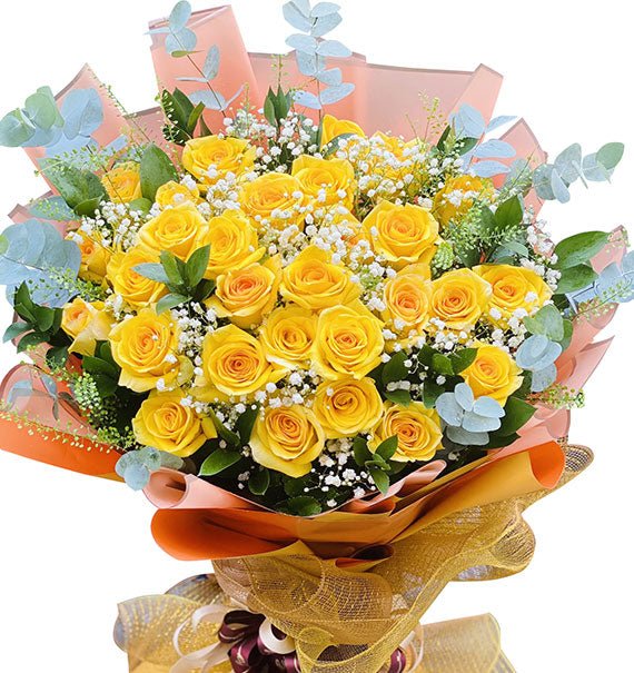 Mặt Trời Của Con - Hoa Sài Gòn