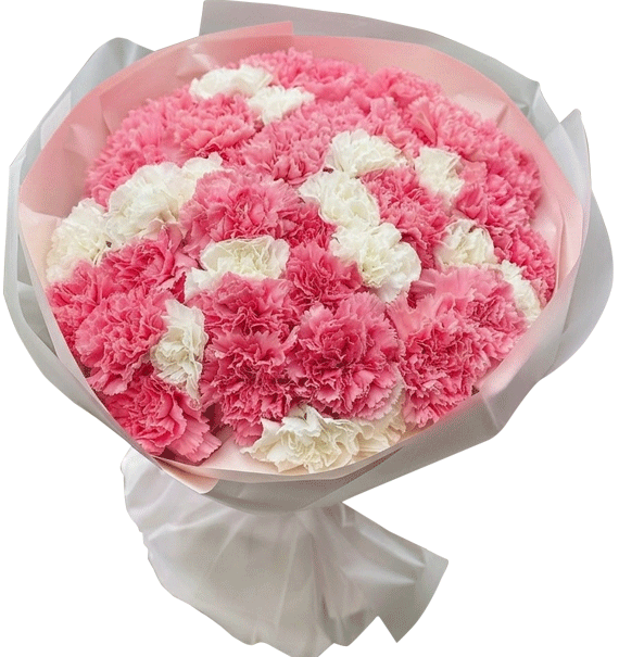 Màu Sắc Rực Rỡ