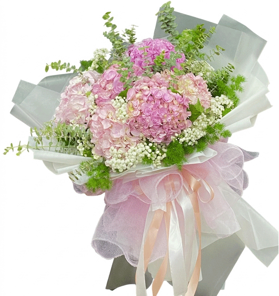 Mây Hồng Tuổi Mới