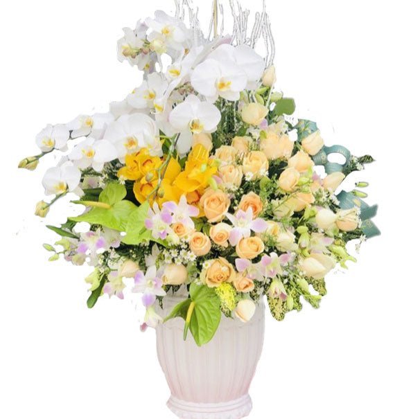 May Mắn Sung Túc - Hoa Sài Gòn