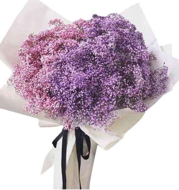 Mây Tím Mây Hồng