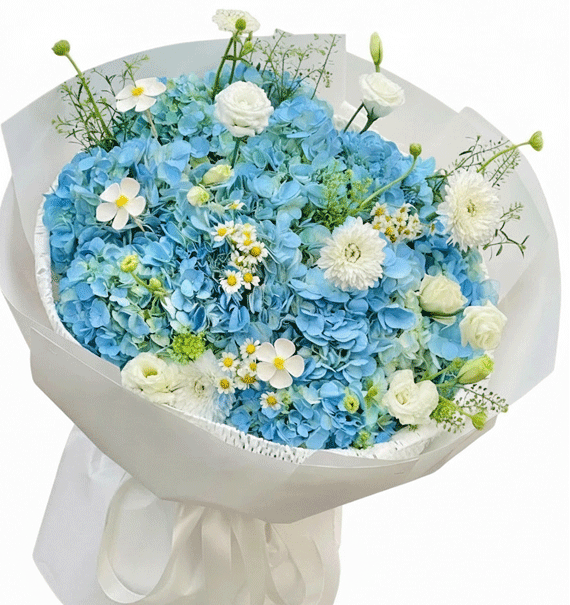 Mây Trời Tháng Sáu