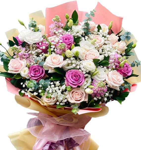 Mộng Mơ Sắc Hồng