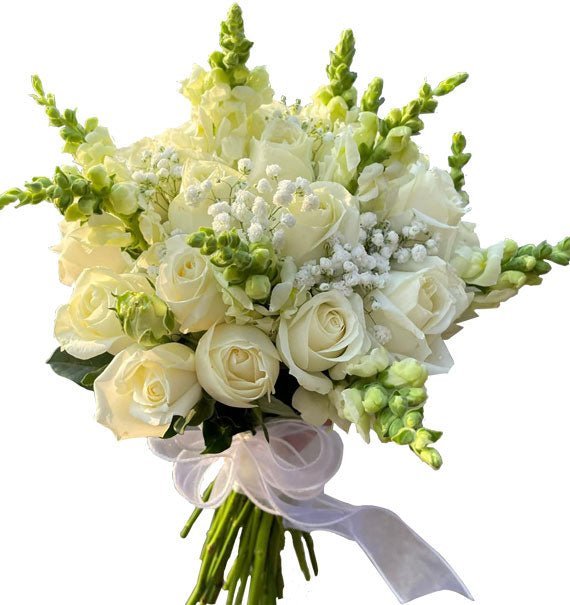 Một Chấm Nhỏ Vũ Trụ