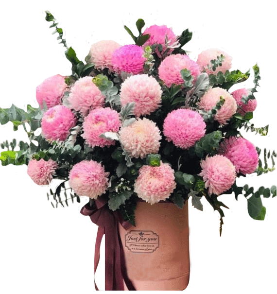 Một Chút Dịu Dàng