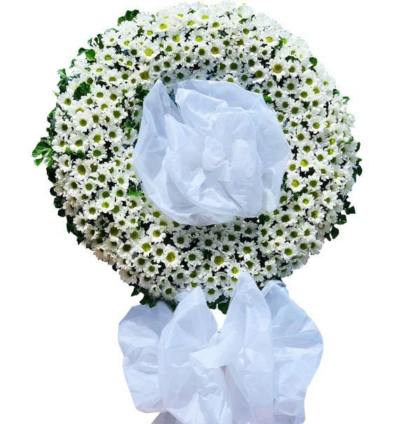 Một Đời Nhớ Thương - Hoa Sài Gòn