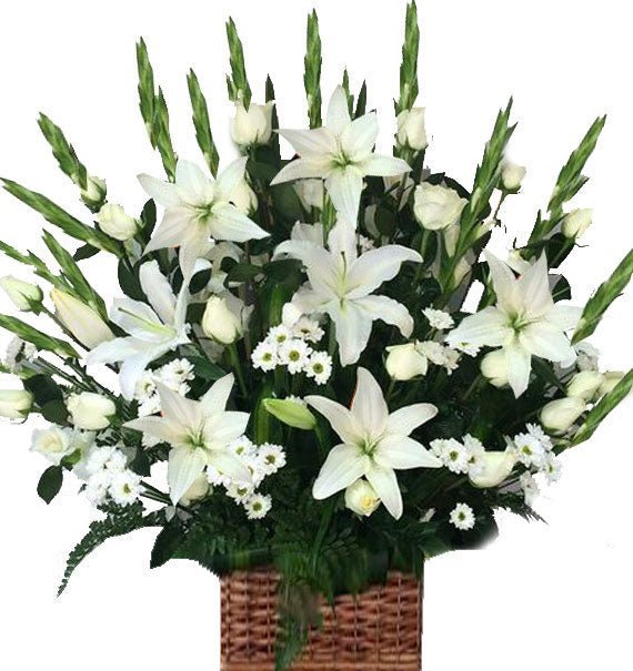 Một Lòng Thành Kính - Hoa Sài Gòn