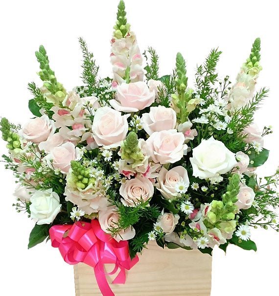 Một Ngày Thật Đẹp