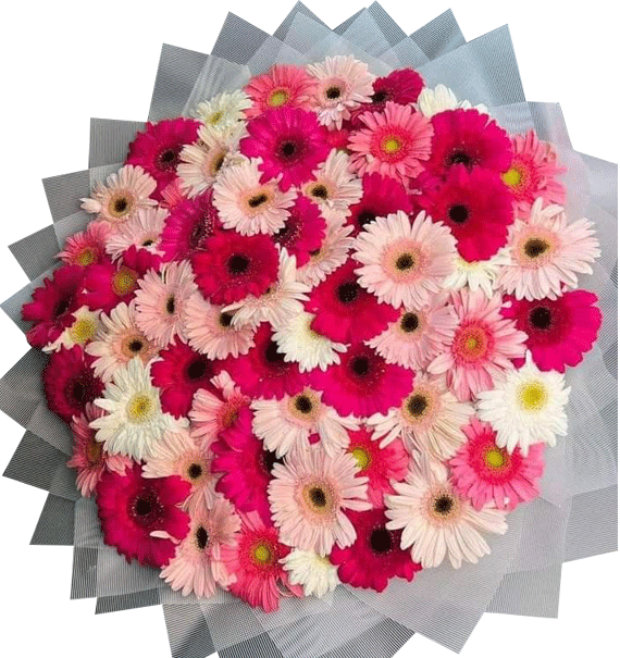 Mùa Hoa Gửi Thương