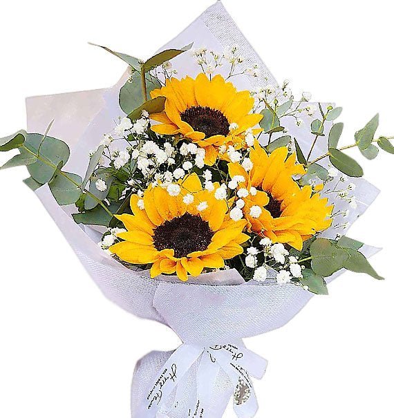 Nấc Thang Vinh Quang