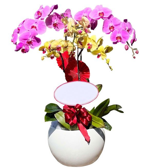 Năm Sắc Thương Yêu