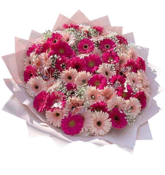 Nắng Hồng Bên Em