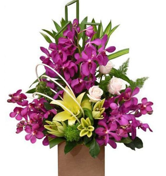 Năng Lượng Mới