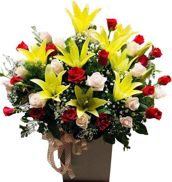 Nắng Mai Khai Lộc