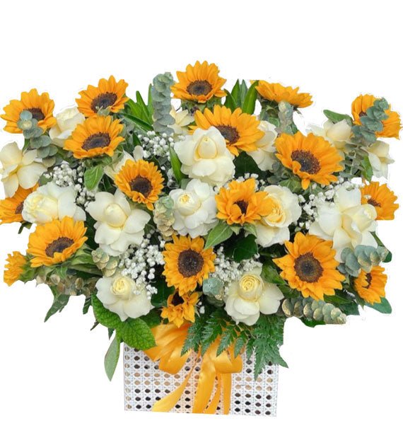 Nắng Mới - Hoa Sài Gòn