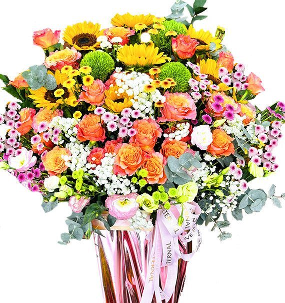 Nắng Nhẹ Cửa Sổ