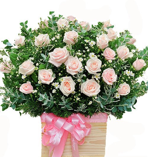 Nắng Nhẹ Tha Thứ