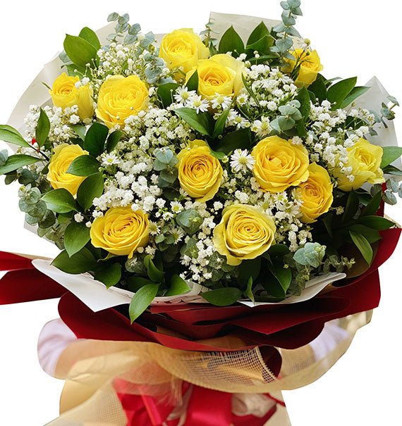 Nắng Sớm Mai - Hoa Sài Gòn