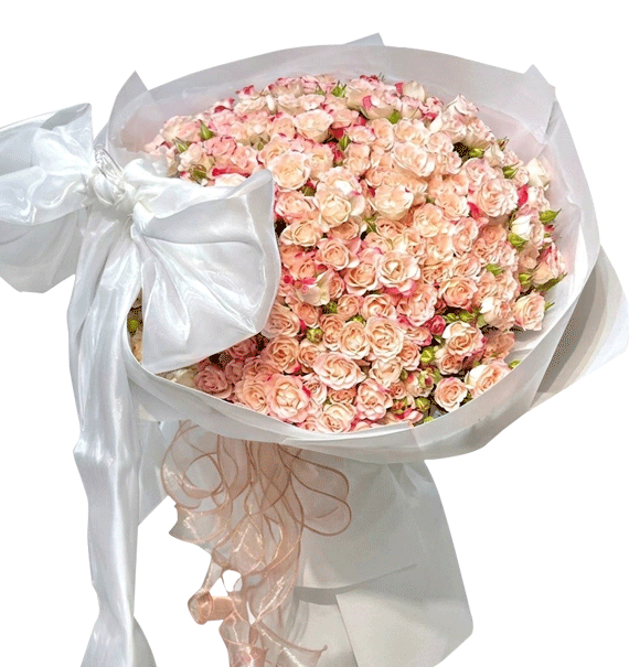 Nàng Thơ Hồng Nhạt
