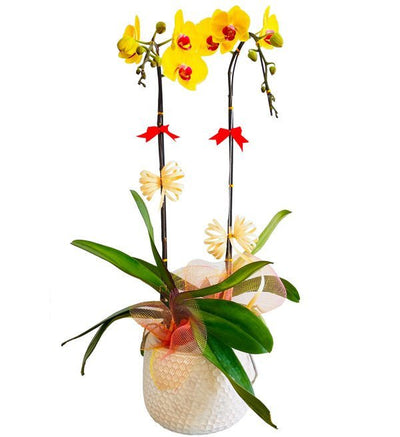 Nắng Và Em