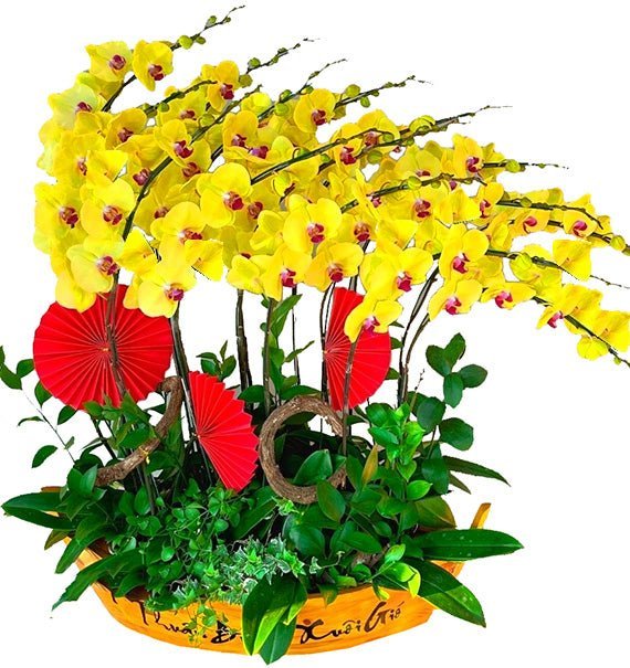 Nắng Vàng Tuổi Mới