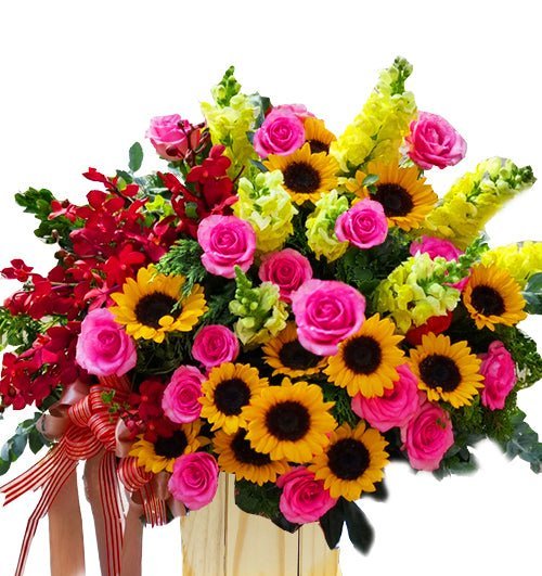 Nắng Yếu Thương - Hoa Sài Gòn