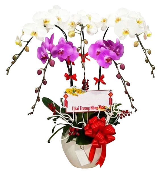 Nét Đẹp Đa Màu