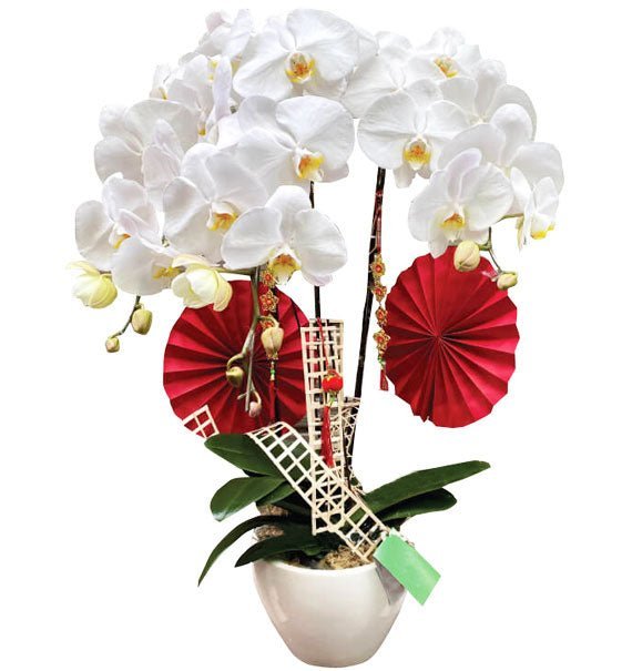 Nét Đẹp Thanh Lịch