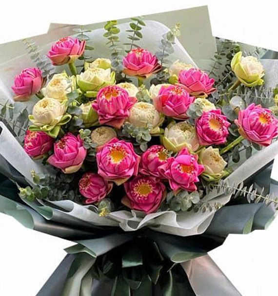 Nét Sen Ngọt Dịu