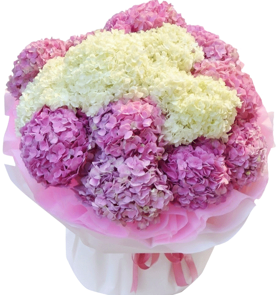 Ngày Hoa Rực Rỡ