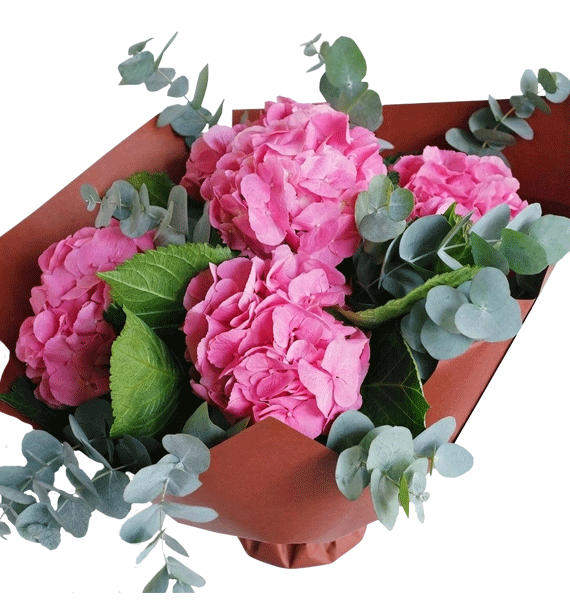 Ngày Hồng Rạng Rỡ
