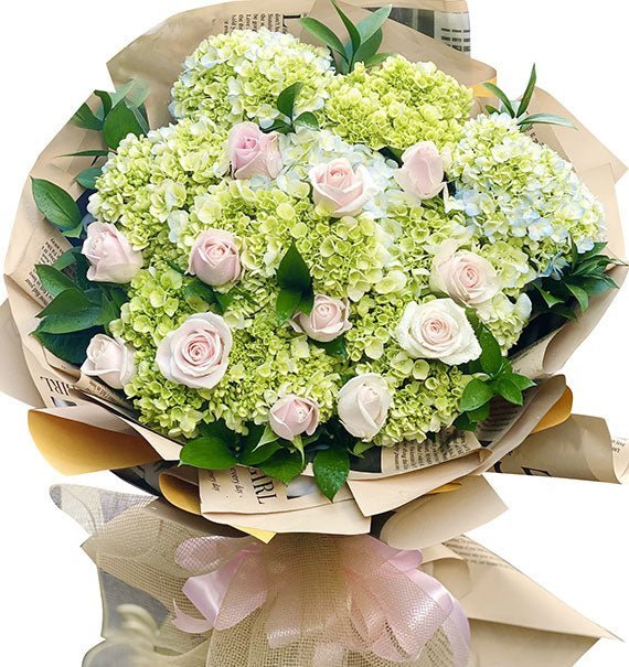 Ngày Mới An Lành