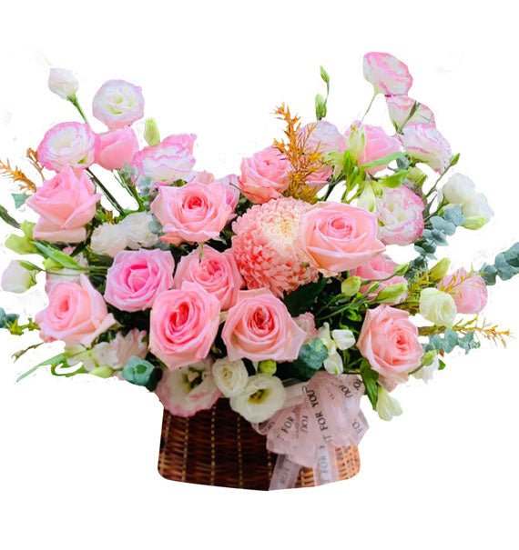 Ngày Mới - Hoa Sài Gòn