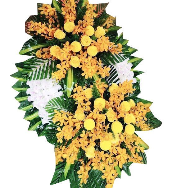 Nghĩa Tình - Hoa Sài Gòn