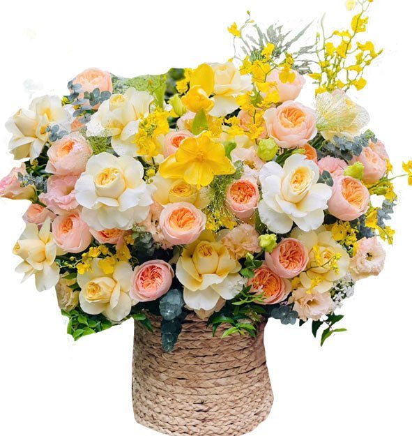 Ngọc Diện Khai Tài - Hoa Sài Gòn