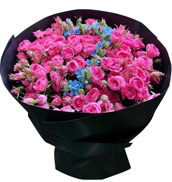 Ngọc Hồng Tặng Em