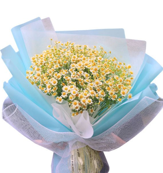 Ngọt Ngào Thuần Khiết