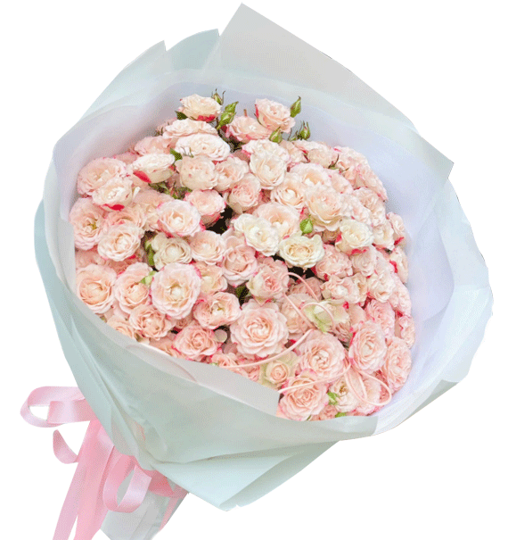 Ngọt Ngào Tựa Sương