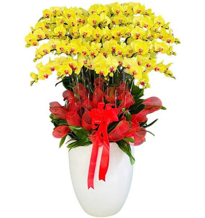 Ngũ Phúc Vượng Phát