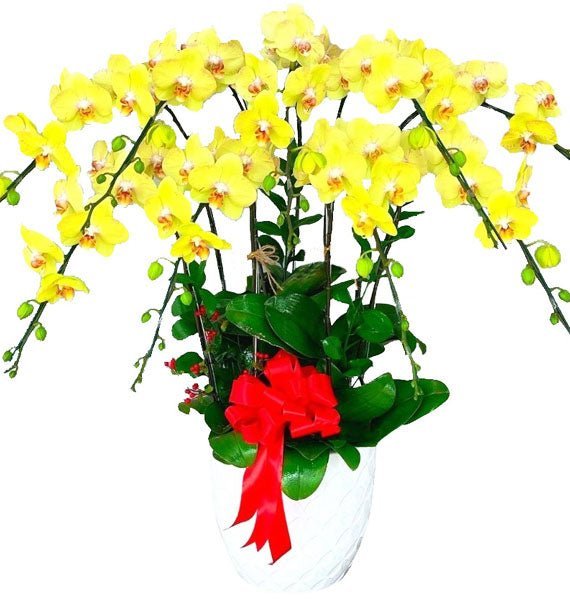 Nhà Mới - Phúc Dày