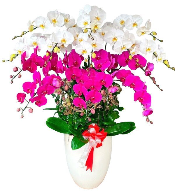 Nhất Ngũ Phát Tài