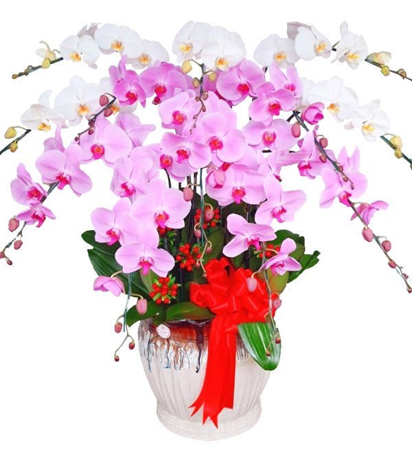 Nhị Lục Trường Hưng