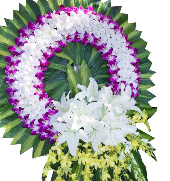 Nhớ Thương - Hoa Sài Gòn