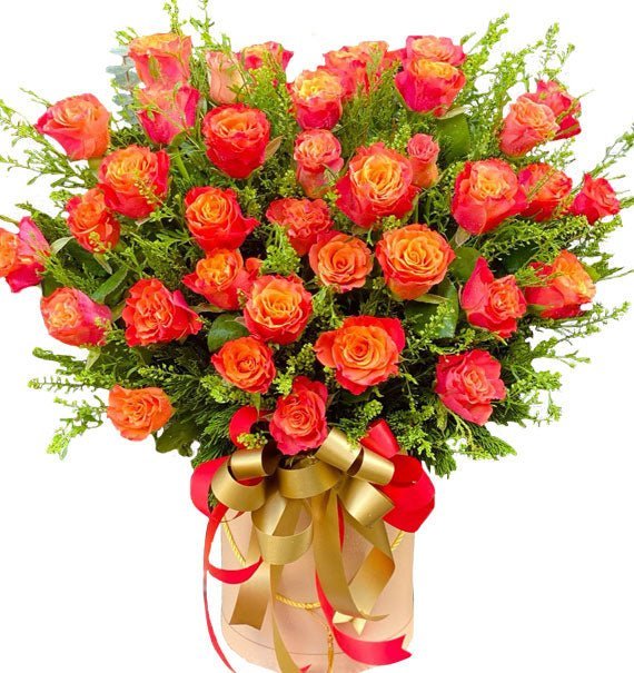 Như Ý - Hoa Sài Gòn