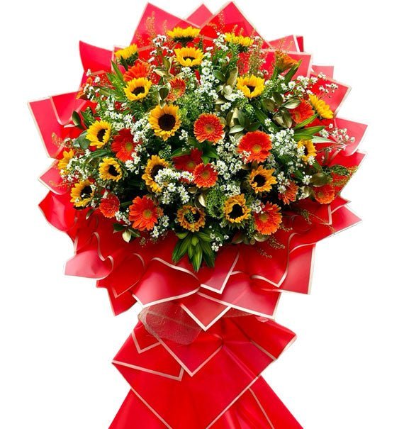 Như Ý Cát Tường - Hoa Sài Gòn