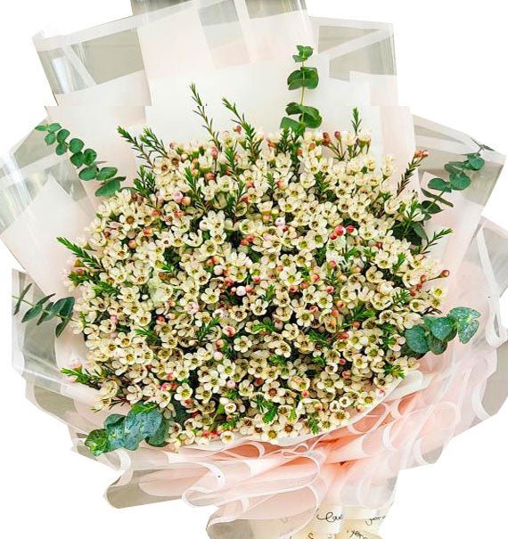 Niềm Tin Tỏa Sáng