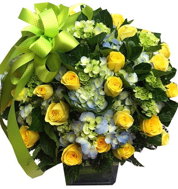 Nỗ Lực Tiến Bước - Hoa Sài Gòn